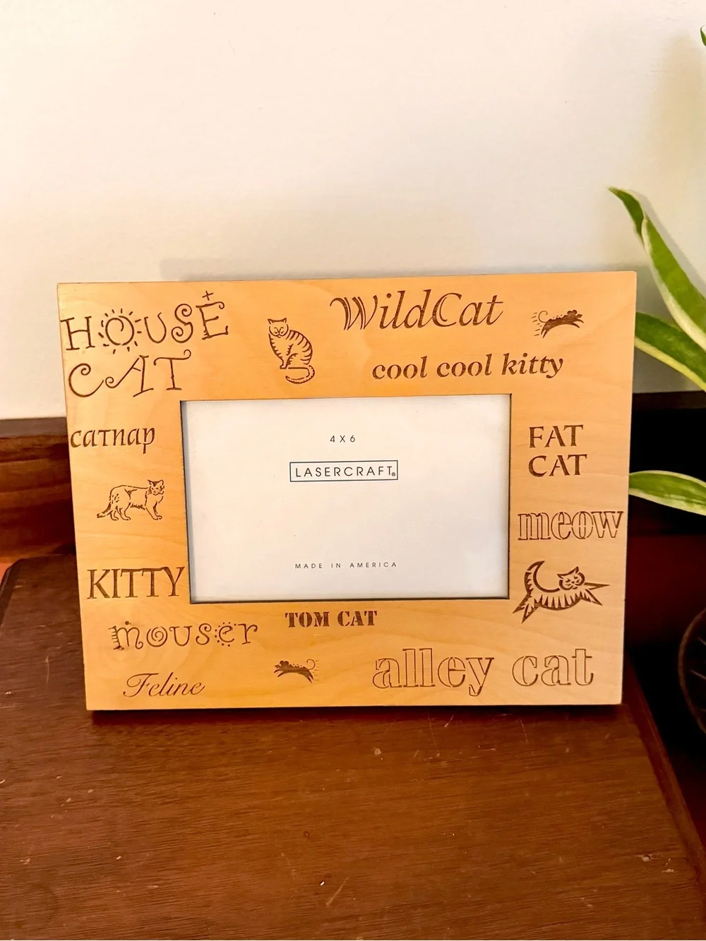 N/A vintage cat